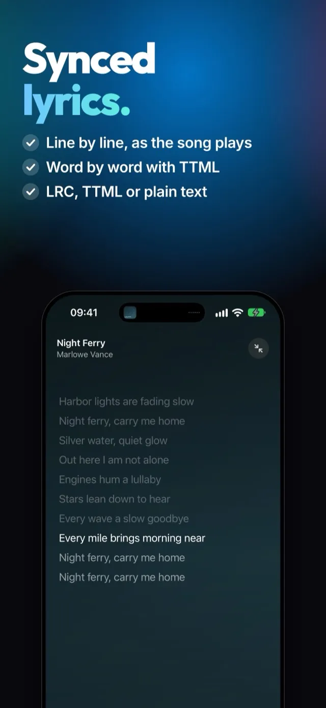 Synced lyrics in Steve